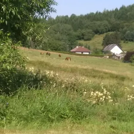 Altana Caloroczna Vira Numer 7 Herbergerowka Na Wsi Hébergement de vacances Duszniki Zdrój