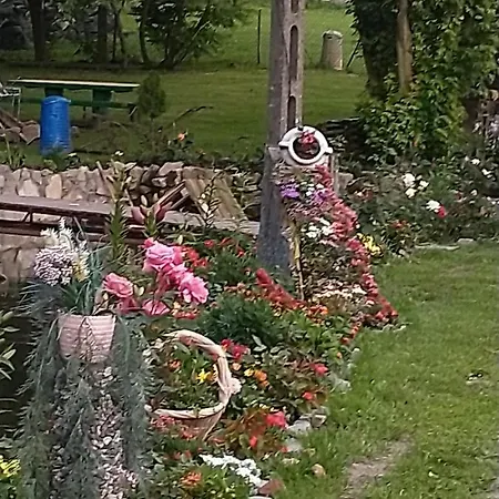 Altana Caloroczna Vira Numer 7 Herbergerowka Na Wsi * Duszniki Zdrój