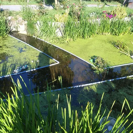 Altana Caloroczna Vira Numer 7 Herbergerowka Na Wsi * Duszniki Zdrój