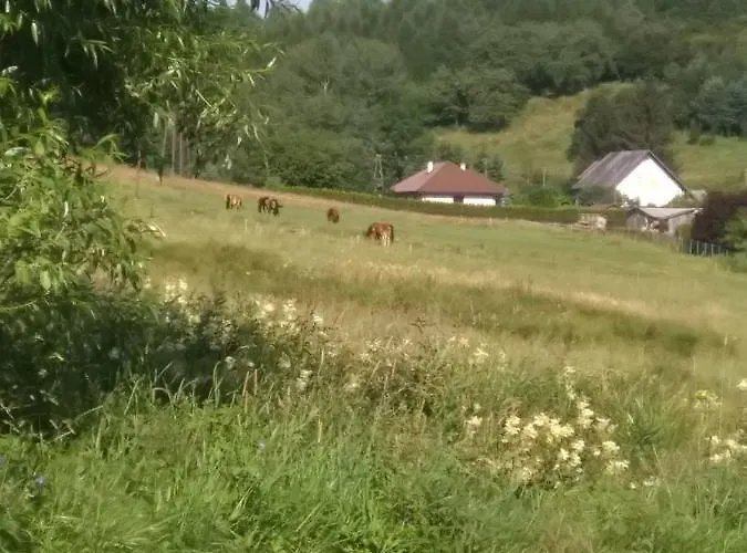 Altana Caloroczna Vira Numer 7 Herbergerowka Na Wsi Ferienhaus Duszniki Zdrój