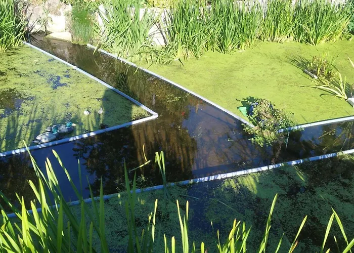 Altana Caloroczna Vira Numer 7 Herbergerowka Na Wsi * Duszniki Zdroj